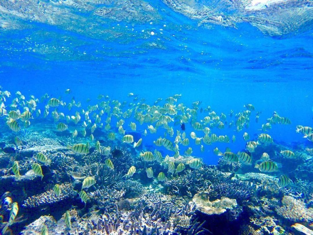 Korovou Eco Lodge Naviti Island Kültér fotó